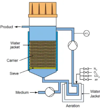 Figure 21 Schematic of the fluidized bed or packed bed bioreactor (Cabrita et al., 2003)