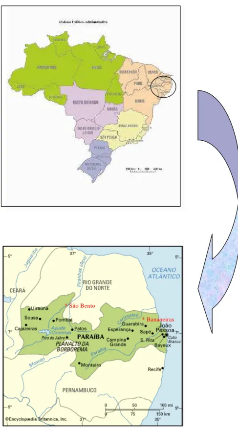 FIGURA 02  –  Posição geográfica dos municípios de São Bento (Sertão) e Bananeiras  (Brejo) no estado da Paraíba