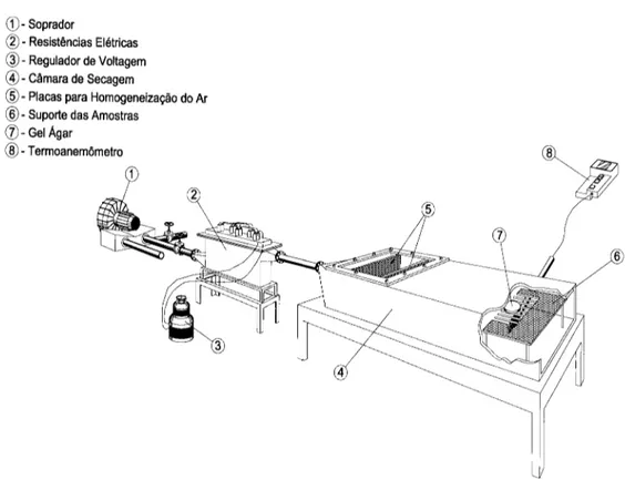 Figura 3.1 – Esquema da unidade de secagem utilizada 