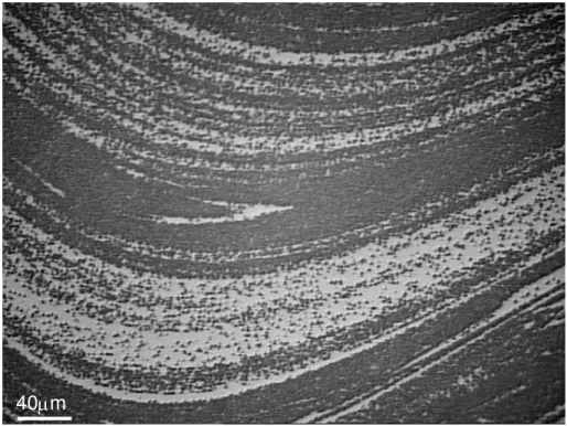 Figura 4.46 Micrografia ótica de reflexão do vidro SSP6 fundido a vácuo,  tratado termicamente em 695 0  C por 40 minutos