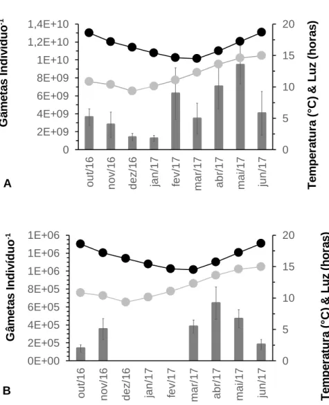 Figura  2:  Variação  da  abundância  de  gâmetas  libertados  por  machos  (A)  e  fêmeas  (B)  Paracentrotus  lividus  (Lamarck,  1816),  relacionados  com  a  temperatura  média  da  água  do  mar  e  o  número  de  horas  de  luz  diárias,  da  Praia  