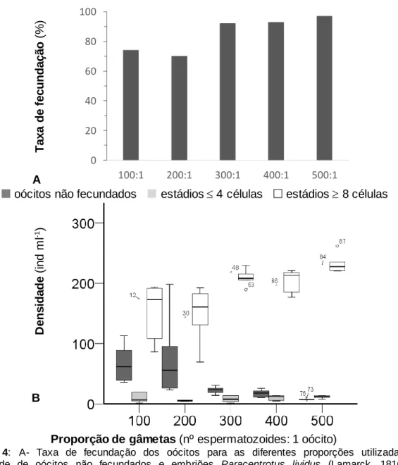 Figura  4:  A-  Taxa  de  fecundação  dos  oócitos  para  as  diferentes  proporções  utilizadas