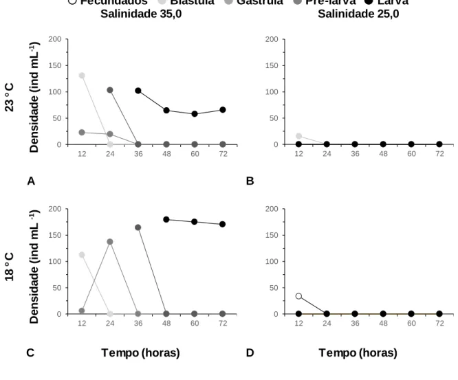 Figura  10:  Densidade  dos  diversos  estádios  de  desenvolvimento  embrionário  de   Paracentrotus  lividus  (Lamarck,  1816),  sujeitos  a  temperatura  23  °C  e  salinidade  35  (A),  temperatura  23  °C  e  salinidade  25  (B),  temperatura  18  °C 