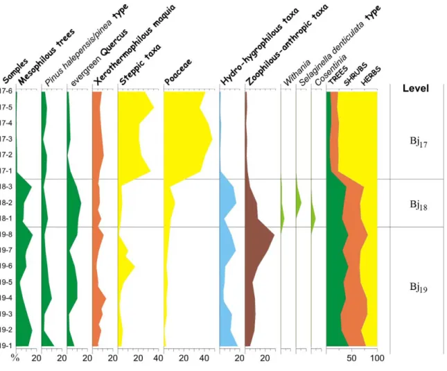 Figure 5. Bajondillo Cave: Pollen sequence from levels Bj 19 -Bj 17 . doi:10.1371/journal.pone.0024026.g005
