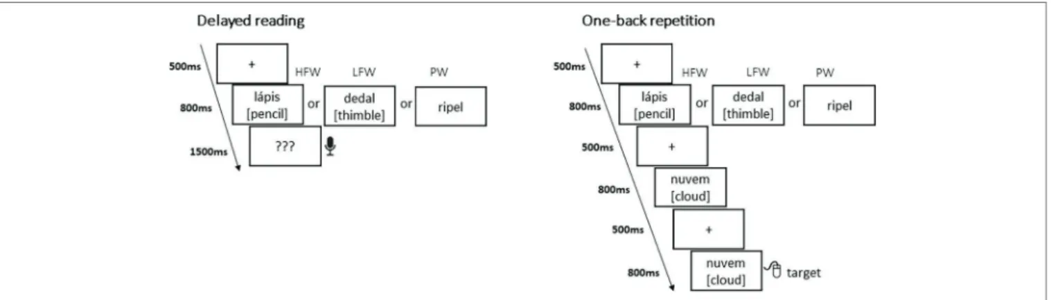 FIGURE 2  |  Examples of stimuli and presentation sequences in the delayed reading task and in the one-back repetition task (50 items were presented per  experimental condition in a blocked design with high-frequency words—HFW, low-frequency words—LFW, and