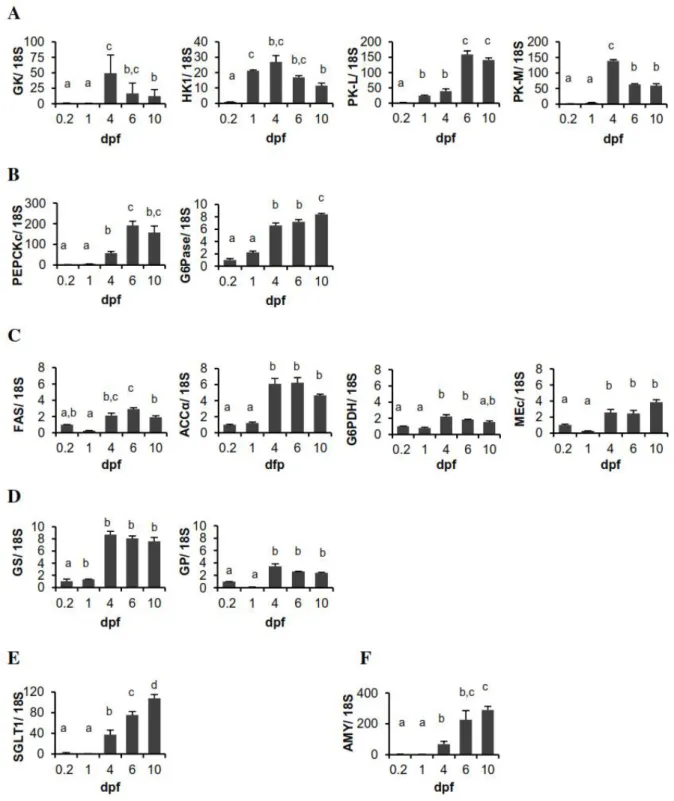 Figure 2.3 ‒ Relative expression profiles (fold variation) of genes from zebrafish larvae up to 10  dpf  in  comparison to  the  levels  observed  at  0.2  dpf  (30%  epiboly  stage)