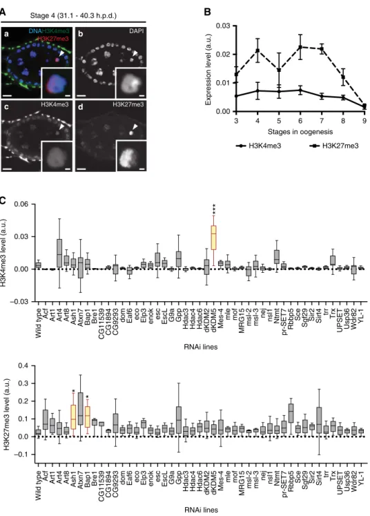 Figure 2 | A germ line-speciﬁc in vivo RNAi screen identiﬁed three major regulators of the oocyte epigenome