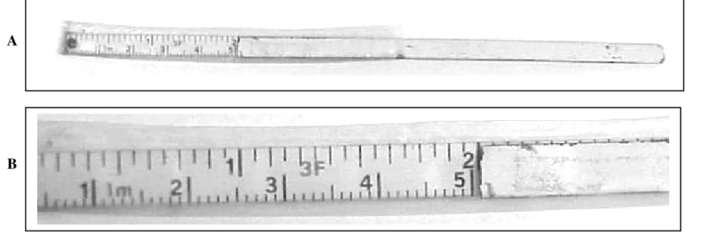 Figura 11 – Distanciômetro: A = Vista ampla, B = Vista focal. 