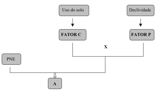 FIGURA 3: Representação esquemática para a obtenção da Perda de Solo por erosão  laminar (A)