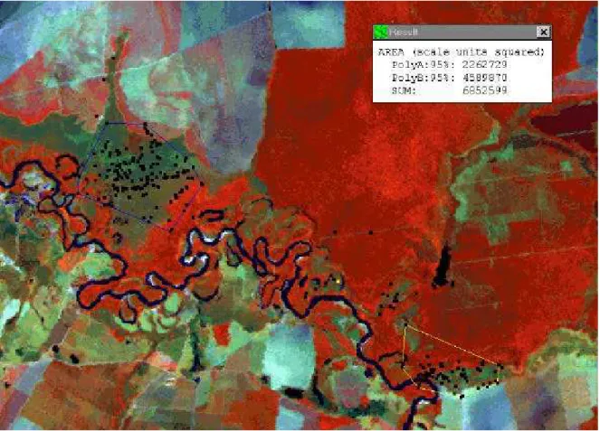 Figura 10: Imagem de satélite com as áreas de vida calculadas para o macho DRC na EEJ (Luís Antônio - SP) com base nos pontos resultantes de triangulações – Amarelo: