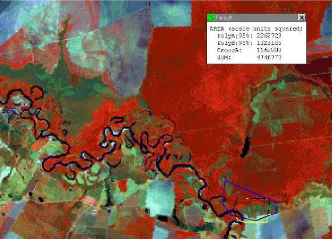 Figura 16: Imagem de satélite com a sobreposição entre as áreas de vida do macho DRC e da fêmea  PRT na várzea Cafundó,  EEJ (Luís Antônio - SP), com base nos pontos resultantes de triangulações – PolyA: azul (área de vida macho DRC); PolyB: amarelo (área 