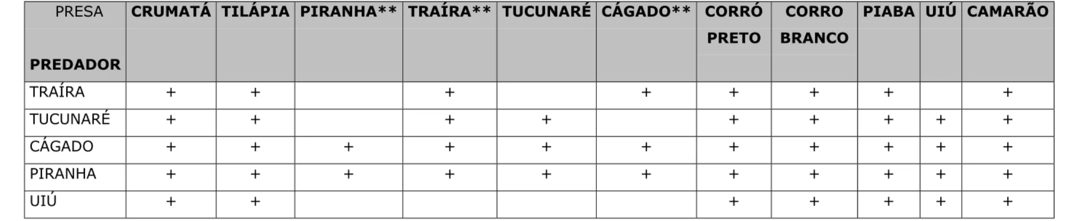Tabela 5 - Relação presa/predador incluindo as espécies piscívoras, segundo as informações dos pescadores.