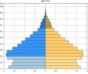 Figura 4: Distribuição da população argelina por idade e sexo 