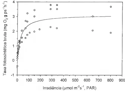 Fig. 3. Curva de resposta da fotossíntese á luz para G. sesquipedale, obtida após  aclimatação a 15 0 C