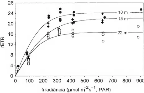 Fig. 11. Curvas de resposta da fotossíntese à luz para G. sesquipedale colhido a 10, 15  e 22 m, obtidas através de fluorescência modulada