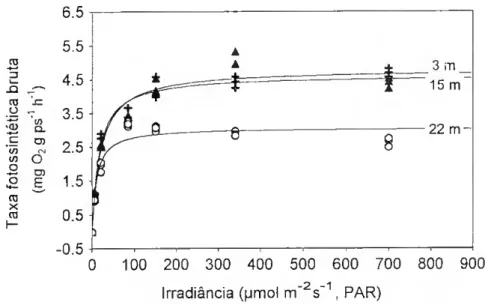 Fig. 12. Curvas de resposta da fotossíntese à luz para G. sesquipedale colhido a 3, 15 e  22 m, obtidas com um eléctrodo de oxigénio do tipo Clark