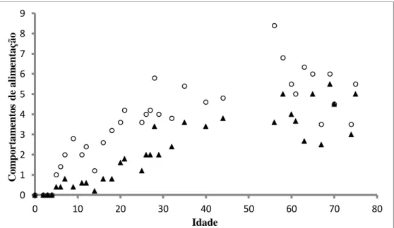 Figura 21 – Valores médios das fixações (círculos) e dos ataques (triângulos) ao  longo da ontogenia das larvas de sardinha