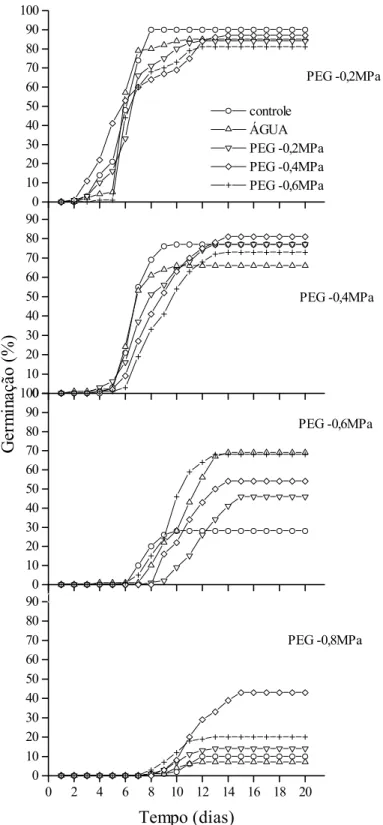 Figura 1. Distribuição no tempo da porcentagem acumulada de germinação  de sementes de Cassia excelsa incubadas em solução de PEG 6000  com diferentes potenciais osmóticos (-0,2; -0,4; -0,6 e -0,8 MPa) a  27ºC, após condicionamento em diferentes potenciais