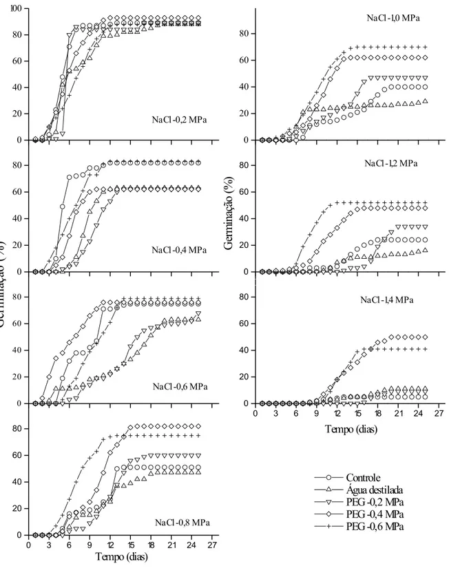 Figura 3. Distribuição no tempo da porcentagem acumulada de germinação de sementes  de  Cassia excelsa incubadas em solução de NaCl com diferentes potenciais  osmóticos a 27ºC após condicionamento em soluções de PEG (-0,2; -0,4 e -0,6  MPa) e água destilad