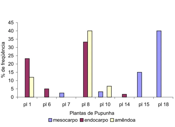 GRÁFICO 04.  Fusarium sp. isolado como endofítico do fruto de pupunheira (Bactris  gasipaes)