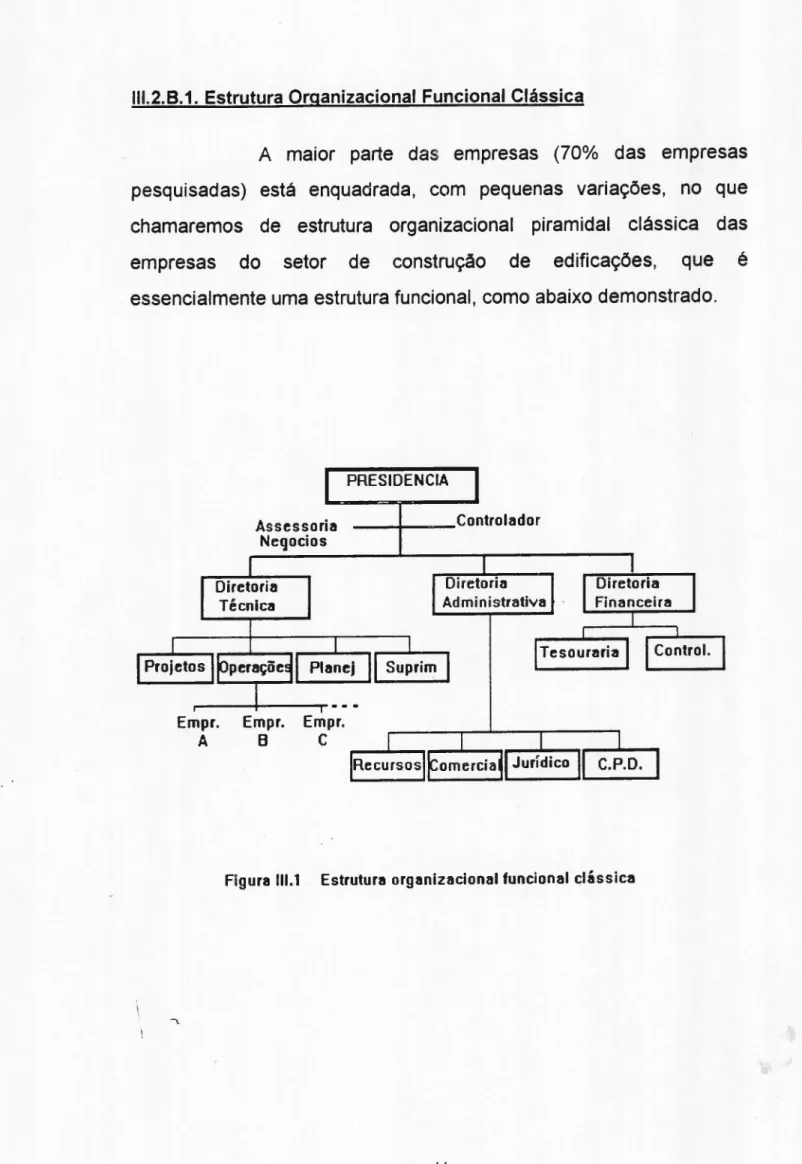Figura 111.1 Estrutura organizacional funcional clássica