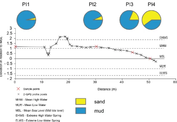 Figure 4.2. Variation in mud and sand content along an elevational profile at the PI site during summer