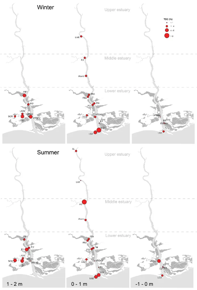 Figure 4.3. Variation in TOC content along a north/south and elevation gradients during winter and summer