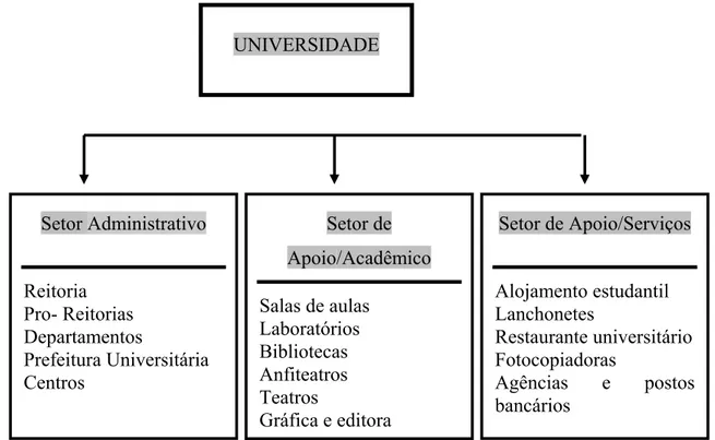 Figura 3.1: Estrutura organizacional genérica de uma universidade. 