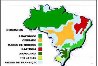 Figura 1.1 – Domínios  Morfoclimáticos e  Fitogeográficos do Brasil, com o Cerrado em posição central em relação aos outros domínios.