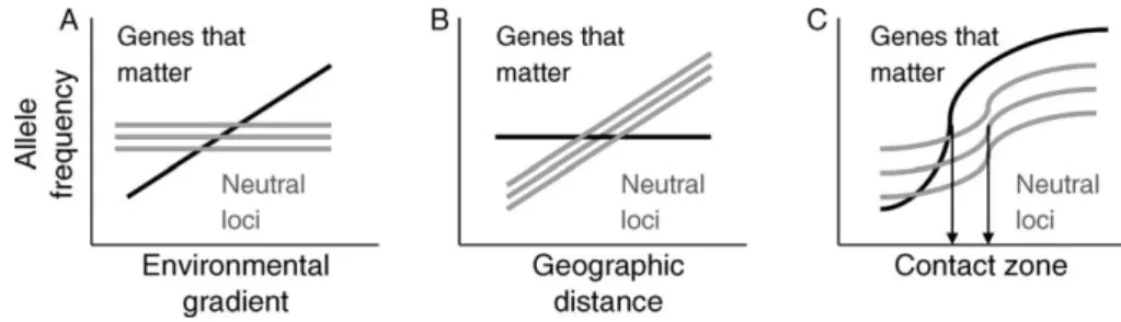 Fig. 1 describes neutral expectations in three circum- circum-stances: