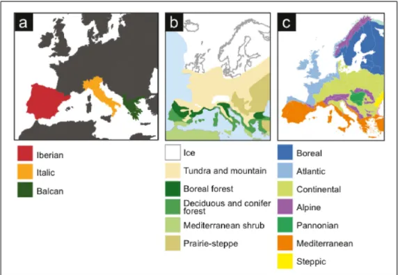 Figure 1.3. Europe and a) The three European Peninsulas; b) Vegetation cover during  the  Last  Glacial  Maximum;  c)  Map  of  the  biogeographic  regions  of  Europe  (source: 