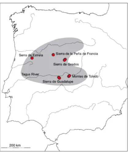 Figure  1.8.  Known  distribution  of  G.  oliveirae  in  the  Iberian  Peninsula,  inferred from Castillejo (1998)