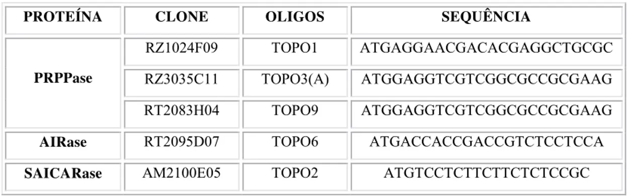 TABELA 6: Oligonucleotídeos utilizados na amplificação 