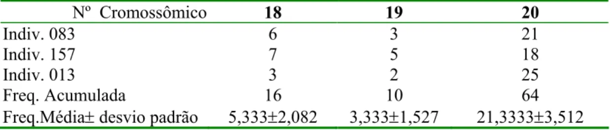 Tabela III. Número cromossômico de células em disploidia (2n=18,2n=19) e com  o número modal 2n=20 em Theobroma grandiflorum