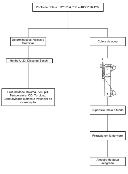 Figura 9 - Procedimentos adotados nas coletas. 