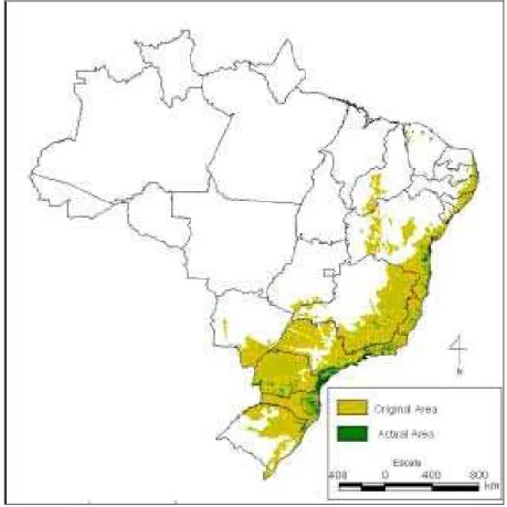 Figura 1. Distribuição original e remanescentes florestais da Floresta Atlântica brasileira Após a realização de estudos sistemáticos nas áreas do bioma ainda não inventariadas, a estimativa do número total de plantas e, principalmente, de invertebrados de