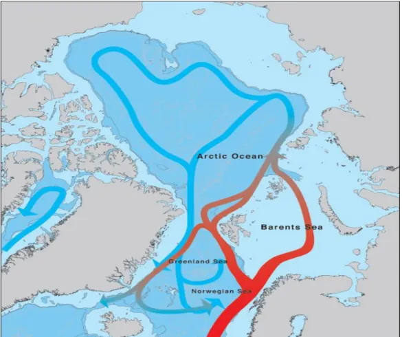 Figure I-1 Map of the Arctic ocean showing the major oceanic currents carrying Arctic water masses in and  out of the Arctic oceanic system