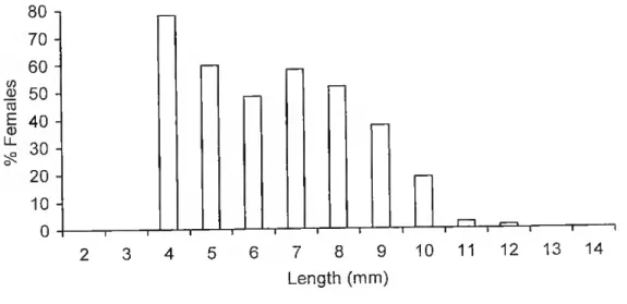 Fig. 5. Tylos ponticus Grebnitzky, 1874, percentage of females by size class, n - 5279