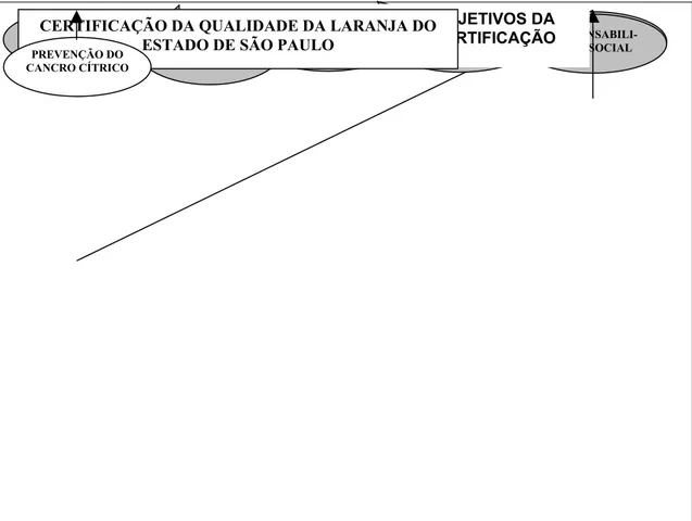 FIGURA 2.4 - Modelo conceitual da certificação progressiva da qualidade da laranja produzida no Cinturão Citrícola do Estado de São Paulo.