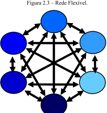 Figura 2.3 – Rede Flexível. 