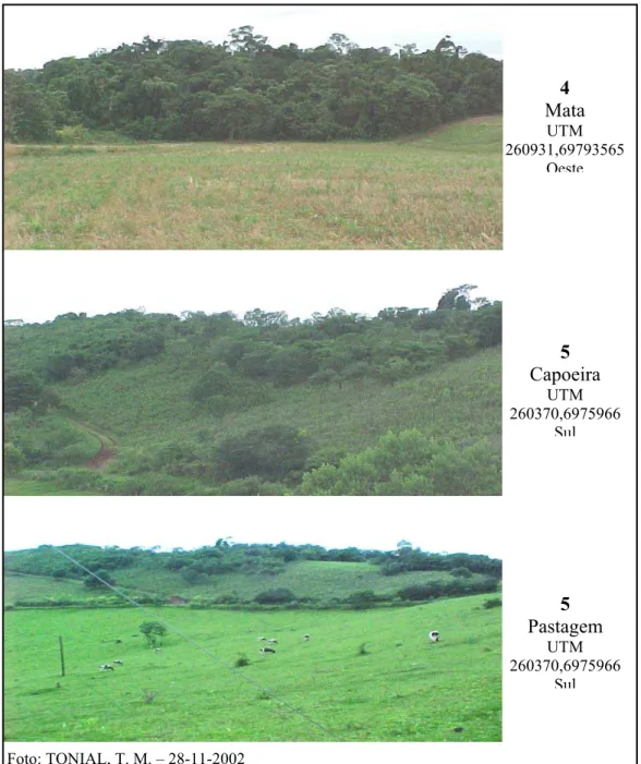 Figura 10: Ilustração dos tipos de usos e ocupação da terra pelas classes mata, capoeira e pastagem na  paisagem em estudo