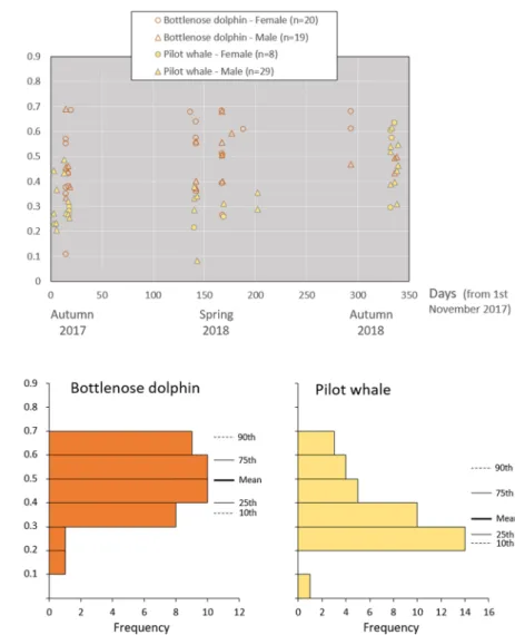 Figure 2.  Standardized RNA/DNA ratios of common bottlenose dolphins (n  = 39) and short-finned pilot  whales (n = 37) per sexes throughout the study period