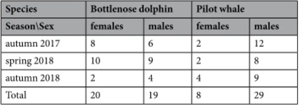 Table 1.  Number of biopsies from bottlenose dolphins (n  = 39) and short-finned pilot whales (n = 37) per  season and sex, used to determine the biochemical indices.