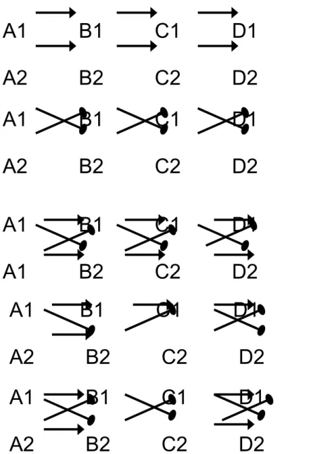 Figura 2: Figura Representativa das Possibilidades de Arranjo de 3 Discriminações  Condicionais  A1         B1         C1         D1A2         B2         C2         D2A1         B1         C1         D1A2         B2         C2         D2A1         B1      