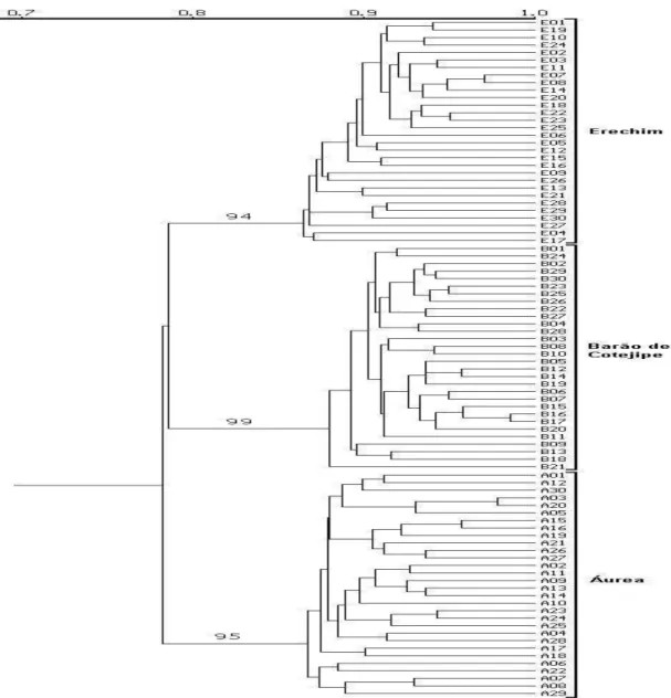 Figura 2: Dendrograma das três populações de erva-mate coletadas aleatoriamente, baseado em análise de agrupamento (UPGMA) de estimativa de similaridade genética (coeficiente de Jaccard) por RAPD