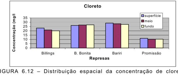 FIGURA 6.12 – Distribuição espacial da concentração de cloreto na campanha 4. Cloreto (profundal)05101520253035