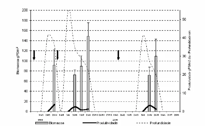 Figura 4: Biomassa média, desvio-padrão e produtividade da macrófita aquática Najas sp e  profundidade da poça temporária marginal do rio Taperoá (7o00’ S, 37o00’ W; 7o30’ S,  36o10’ W) em 21 visitas de campo durante os ciclos hidrológicos de 1999 e 2000