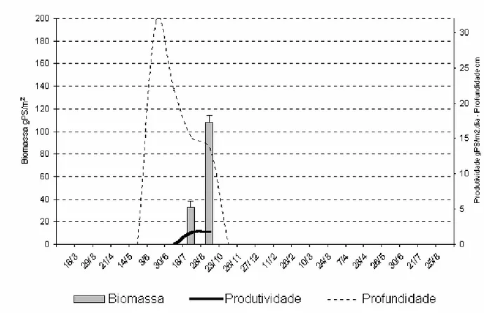 Figura 5: Biomassa média, desvio-padrão e produtividade da macrófita aquática Najas sp e  profundidade da poça temporária no leito do rio Taperoá (7o00’ S, 37o00’ W; 7o30’ S, 36o10’ 