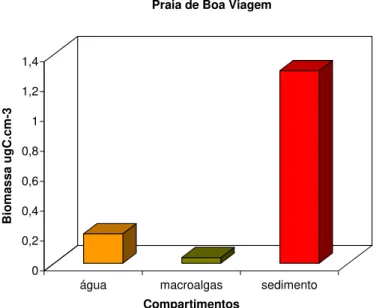 Figura 7: Biomassa bacteriana, na coluna d'água, sedimento e aderidas ao talo de  macroalgas na Praia de Boa Viagem (área impactada)