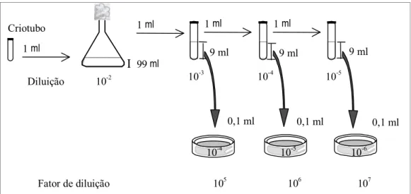 Figura 3.2. Representação do procedimento utilizado para o teste da viabilidade celular
